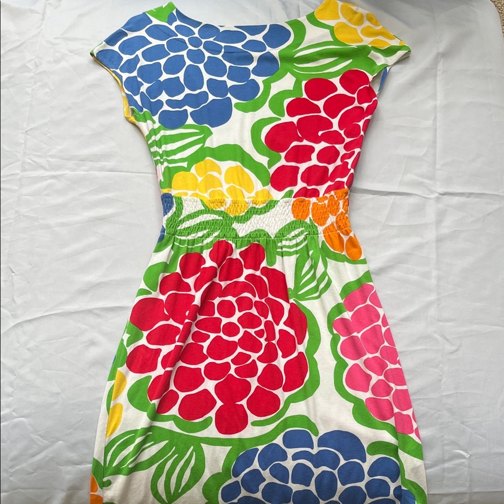 Lilly Pulitzer Colorful Sadie Zinnie Floral Mini Dress size XS